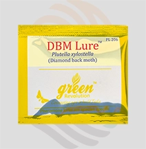 D B M Lure (Plutella xylostella)