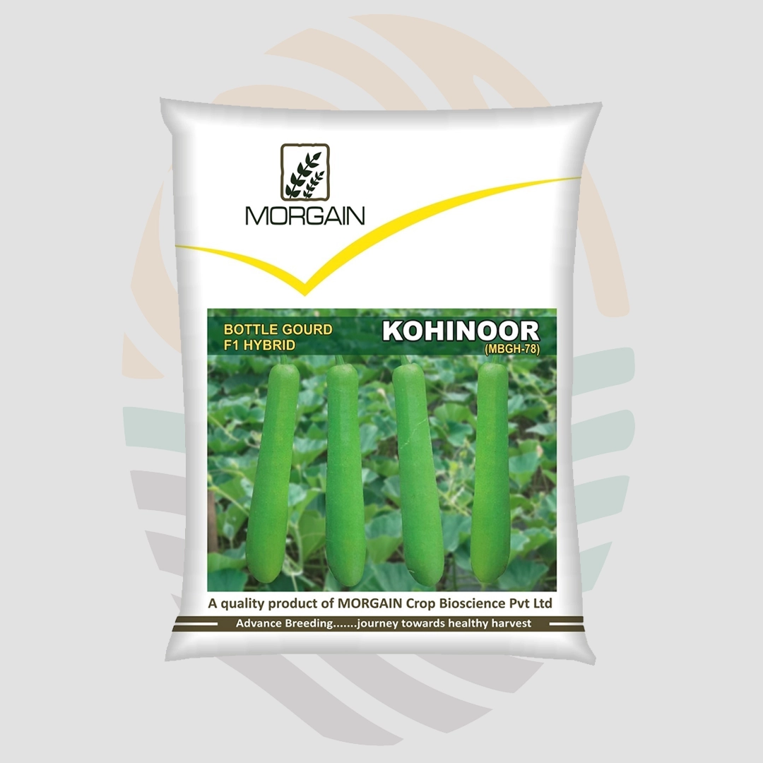 Kohinoor F1 Hybrid Bottle Gourd Seeds