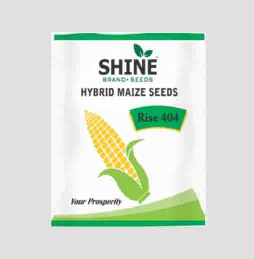 Rise 404 Maize Seeds