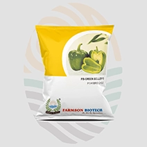 FB-Green Bell(2011) F1 Hybrid Capsicum Seeds