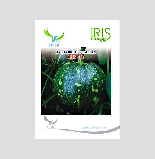 Iris Hybrid Vegetable Seeds F1 Hybrid Pumpkin IHS-205