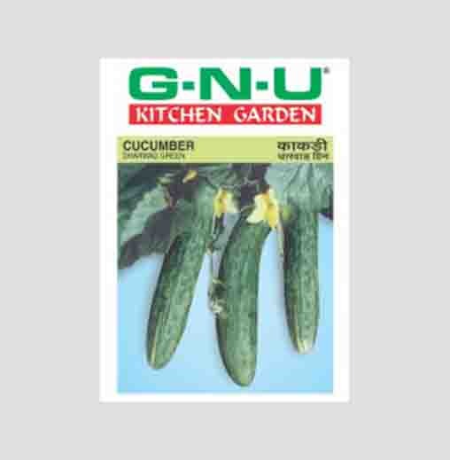 Dharwad Green Cucumber Seeds