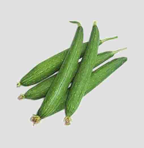 Radha Krishna Ridgegourd seeds