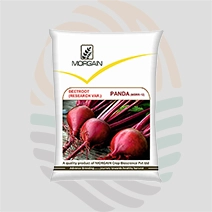 Panda Research Beetroot Seeds