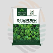 Khushbu Imported Coriander Seeds