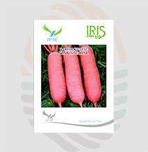 Iris Imported Hybrid Special Chinese Pink Radish Seeds