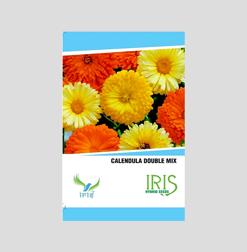 Iris Imported Calendula Double Mix Seeds