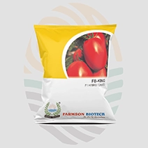 FB-King F1 Hybrid Tomato Seeds