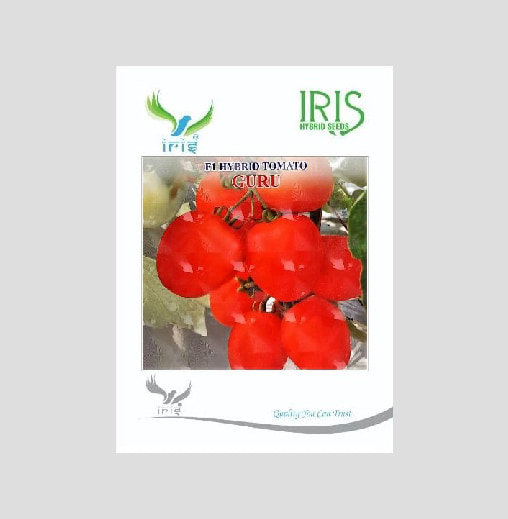 Iris Guru F1 Hybrid Tomato Seeds