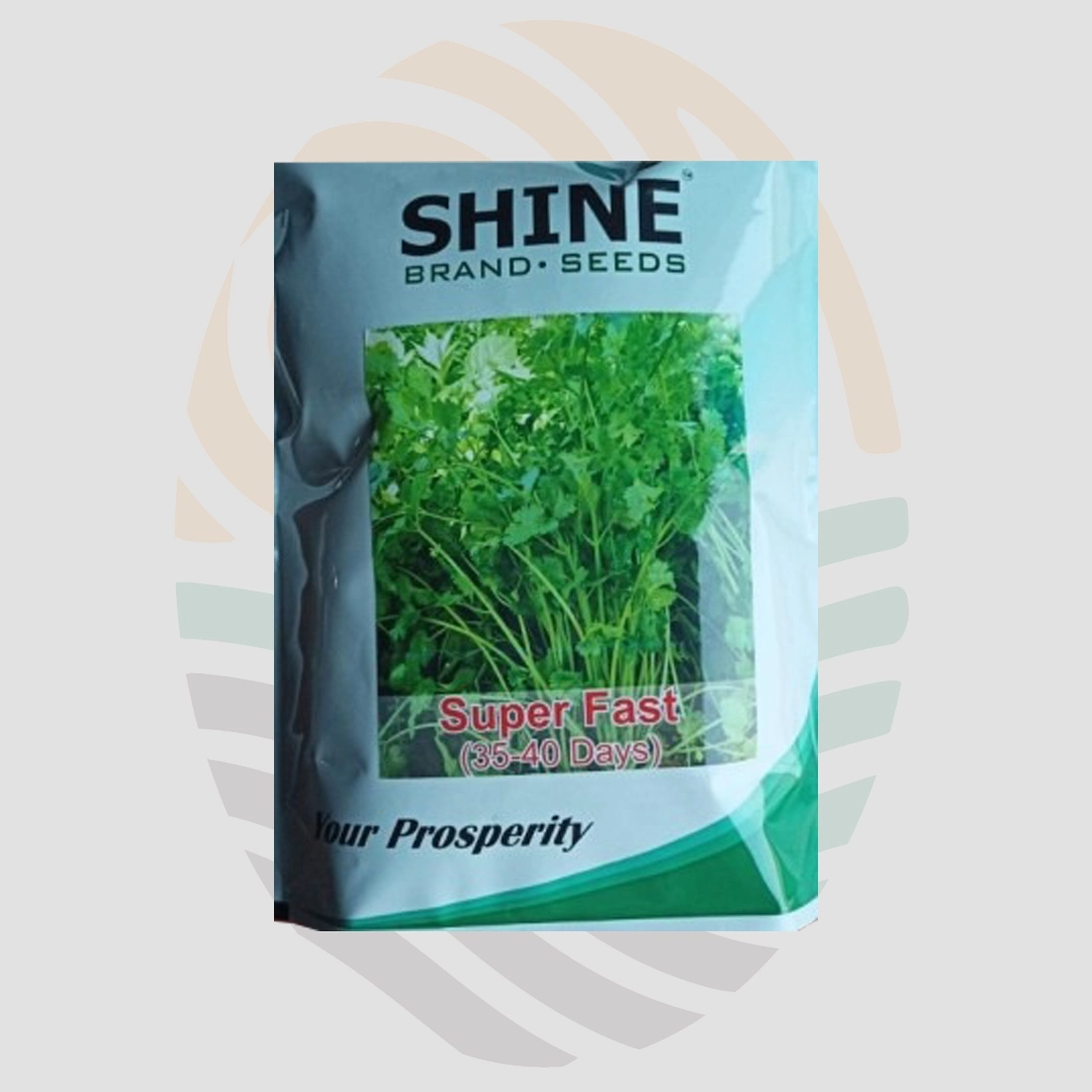 Super Fast Imported Coriander Seeds