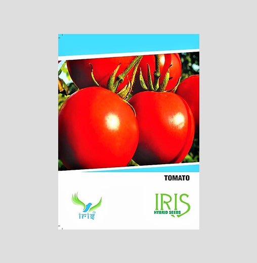 Iris F1 Hybrid Tomato Seeds
