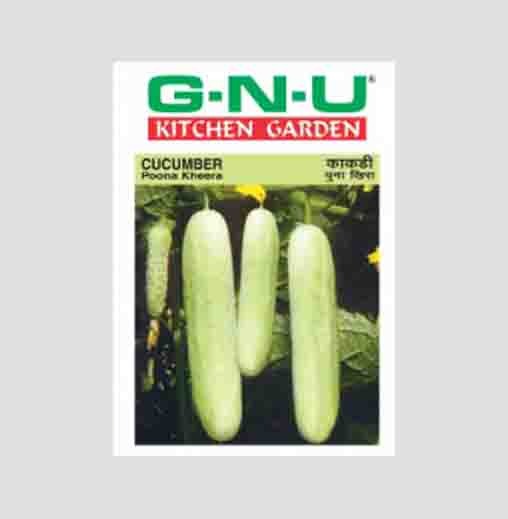 Poona Kheera Cucumber Seeds