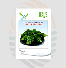 Iris F1 Hybrid  Little Master  Bitter Gourd Seeds