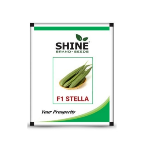 Stella F1 Hybrid Ridgegourd Seeds
