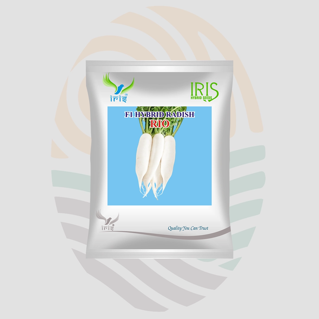Iris Rio  F1 Hybrid  Radish Seeds (Curvy from down below)