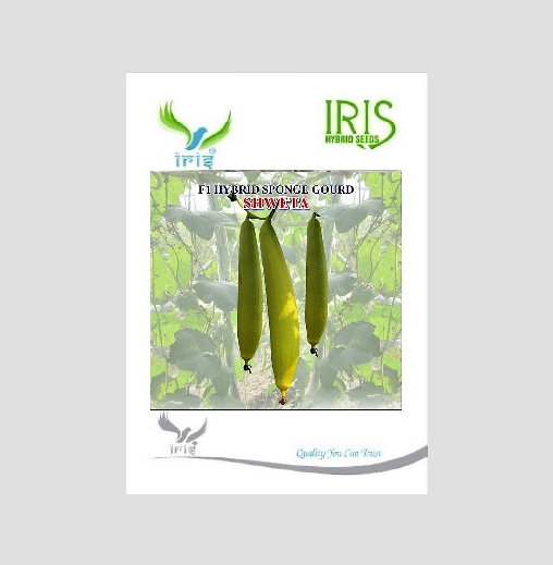 Iris Hybrid Vegetable Seeds F1 Hybrid Sponge Gourd Shweta