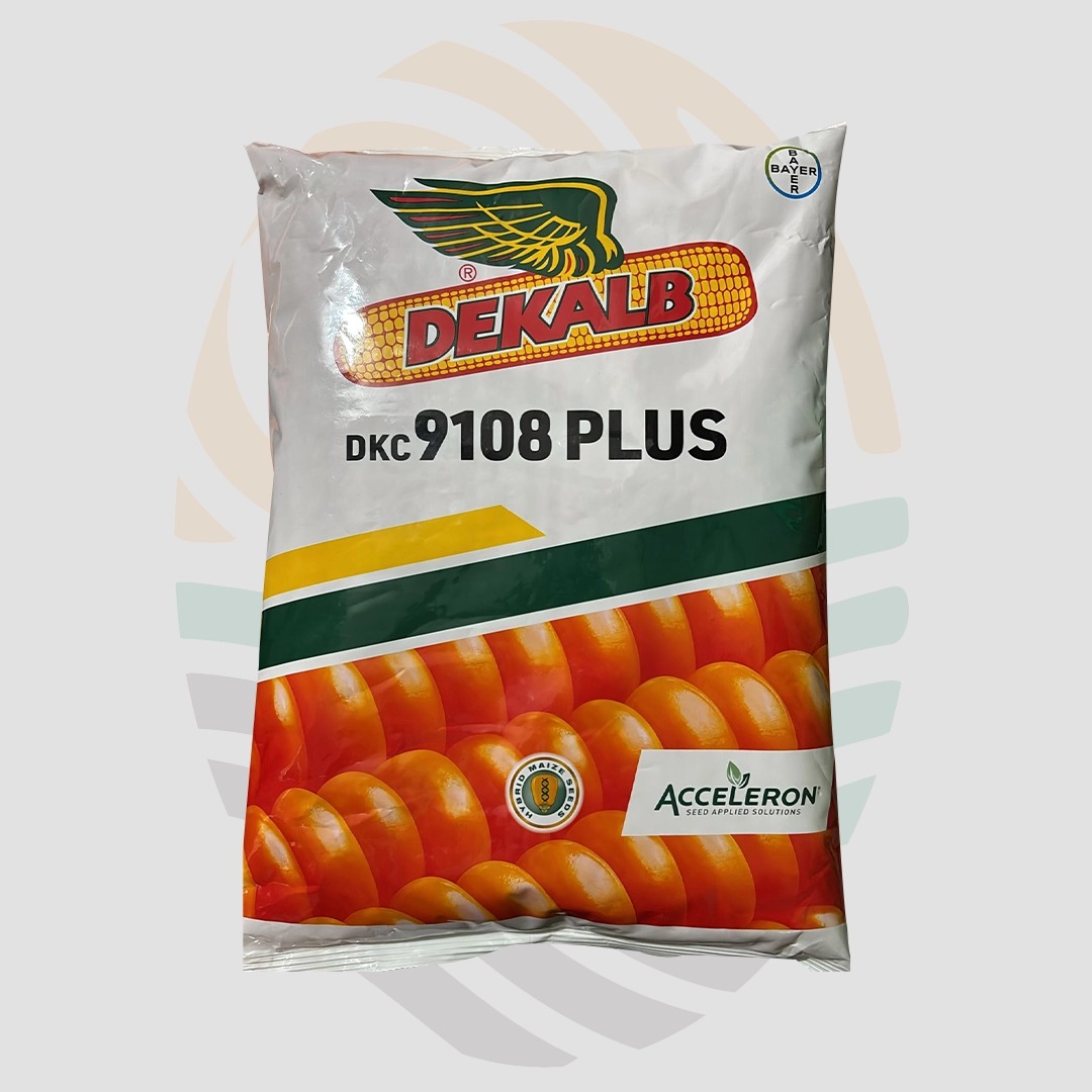 Dekalb DKC - 9108 Plus Maize Seeds