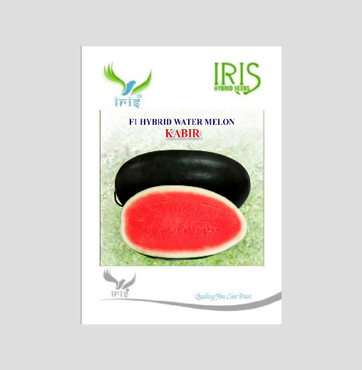 Iris Hybrid Fruit Seeds F1 Hybrid Watermelon Kabir - Ice Box Segment