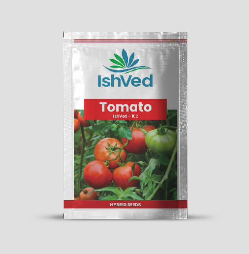 IVTMH - 102 Tomato Seeds