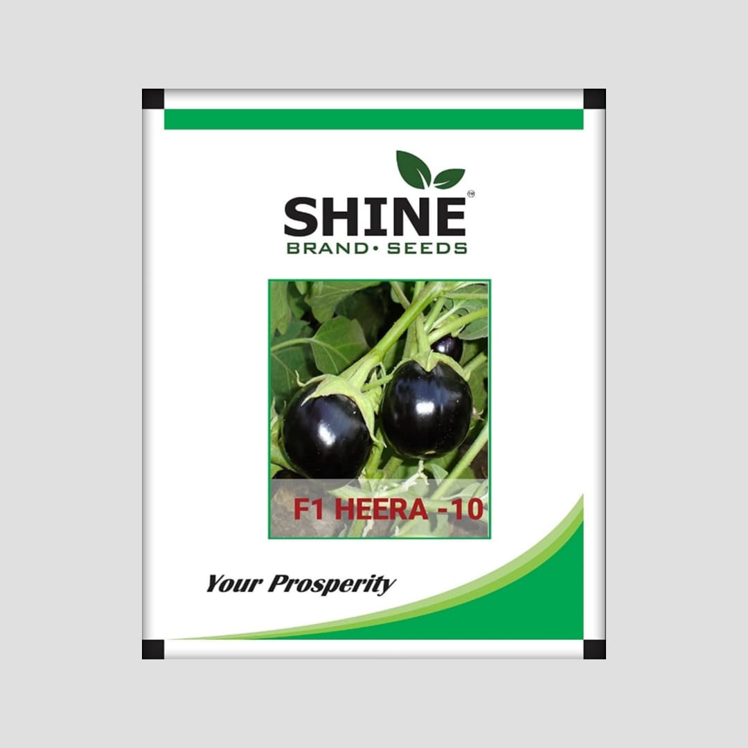 Heera - 10 F1 Hybrid Brinjal Seeds