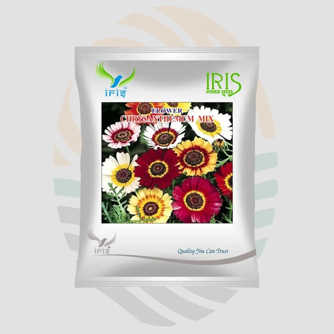 Iris OP Imported Chrysanthemum Carinatum Seeds
