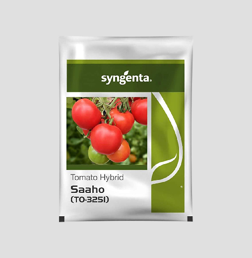 Saaho  Hybrid Tomato seeds