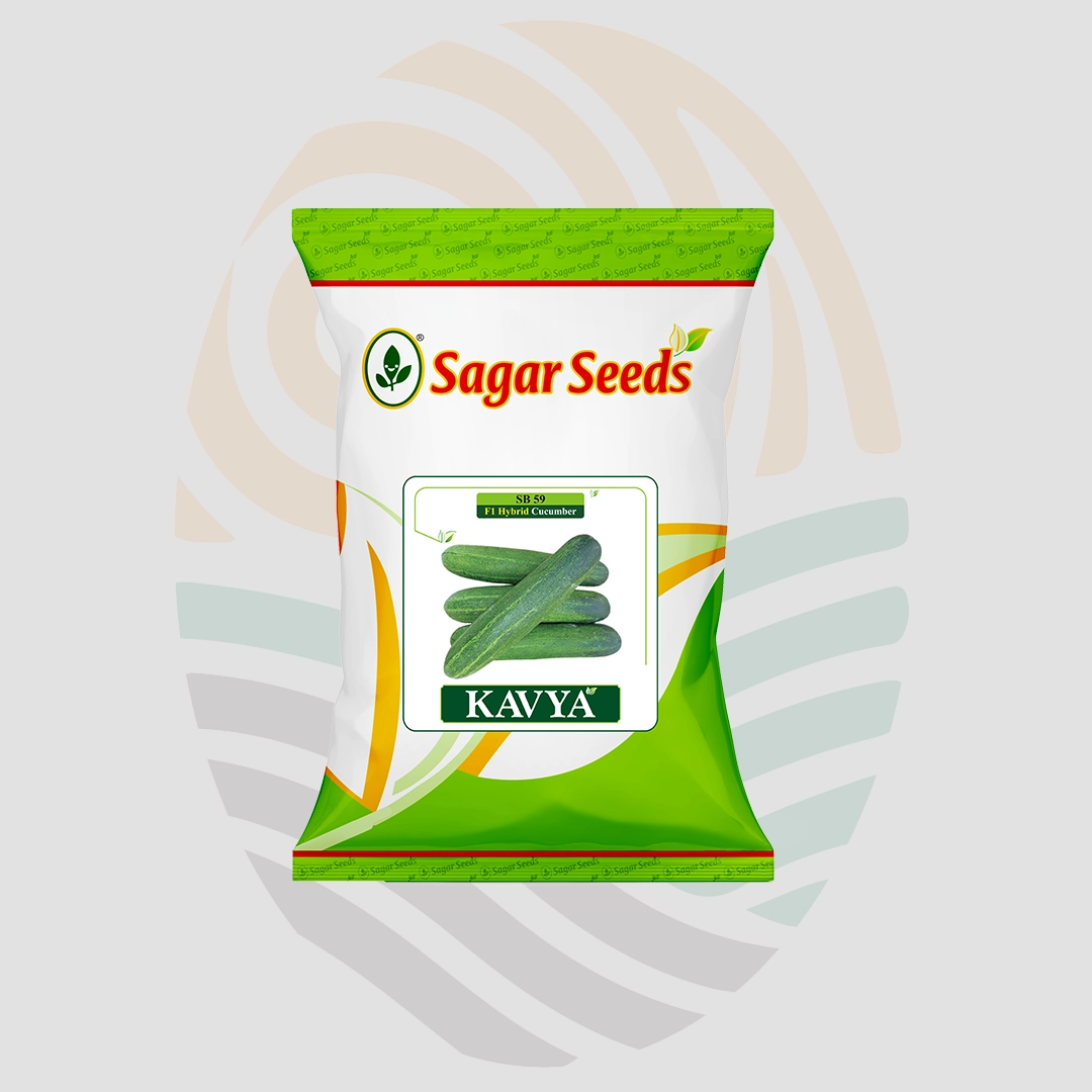 Sagar Kavya F1 Cucumber Seeds