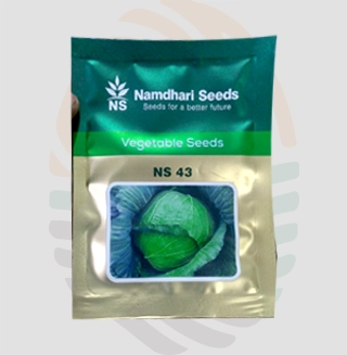 NS - 43 Cabbage Seeds