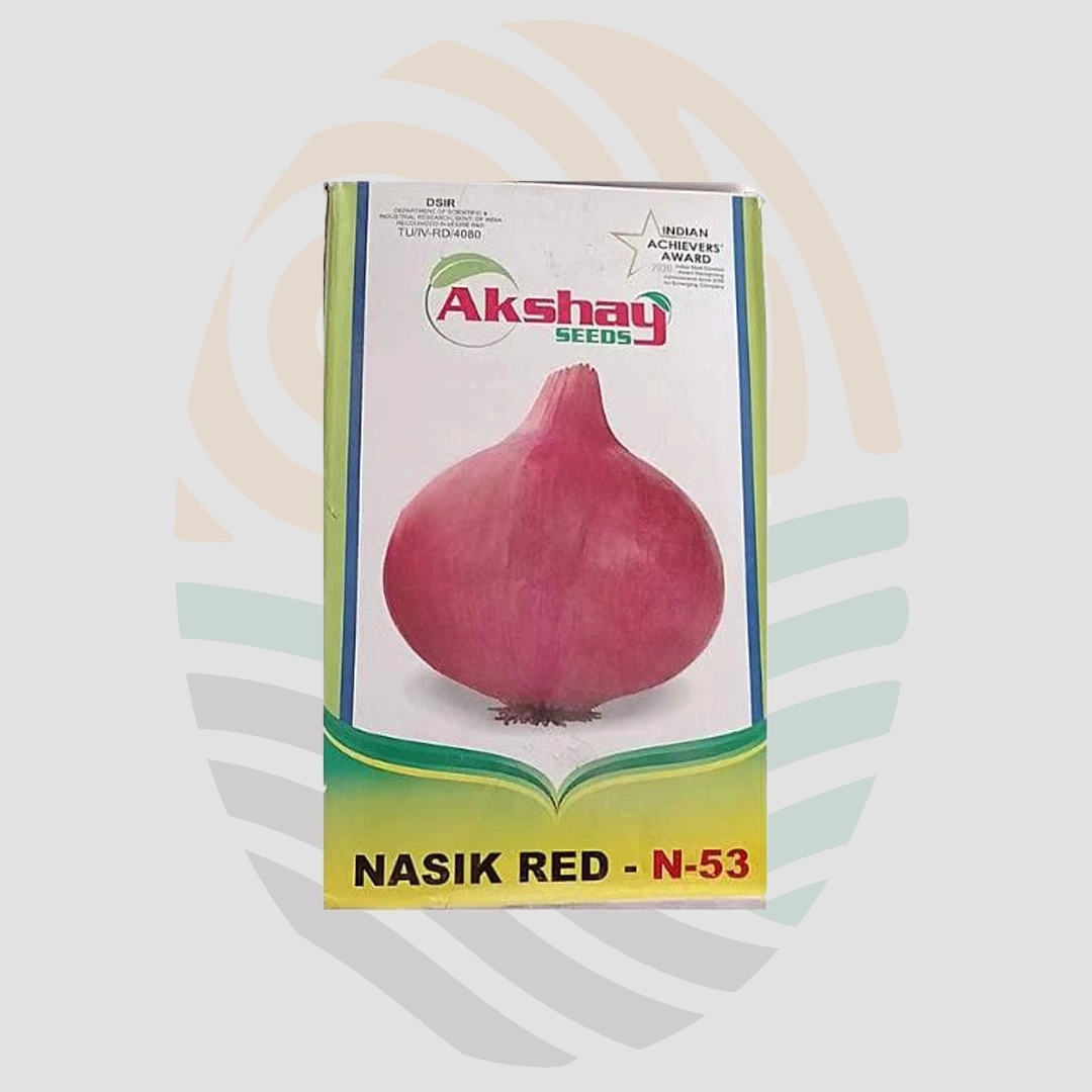 Nasik Red (N53) Onion Seeds