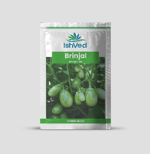 IVBJH - 361 Brinjal Seeds