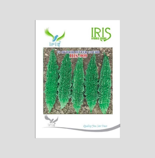 Iris  F1 Hybrid Bitter Gourd IHS-909