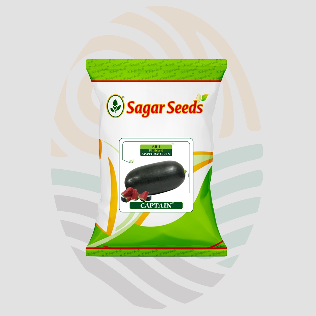 Sagar Captain Watermelon  Seeds